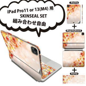 iPad Pro11(M4)p iPad Pro13(M4)p XLV[ 11C` 13C` Magic Keyboard keytop 2024N 5 Ή eZbg gݍ킹R S t O w یV[ lC gt H Vv 004608