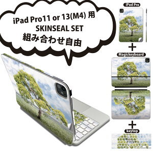 iPad Pro11(M4)p iPad Pro13(M4)p XLV[ 11C` 13C` Magic Keyboard keytop 2024N 5 Ή eZbg gݍ킹R S t O w یV[ lC   ʐ^ 004647