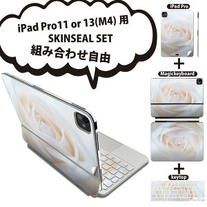 iPad Pro11(M4)p iPad Pro13(M4)p XLV[ 11C` 13C` Magic Keyboard keytop 2024N 5 Ή eZbg gݍ킹R S t O w یV[ lC  KN ʐ^ 005080