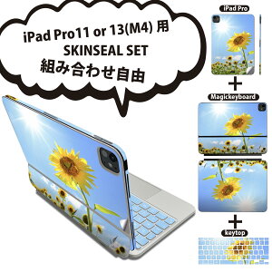 iPad Pro11(M4)p iPad Pro13(M4)p XLV[ 11C` 13C` Magic Keyboard keytop 2024N 5 Ή eZbg gݍ킹R S t O w یV[ lC Ђ܂ ʐ^ z 005089