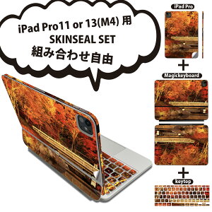 iPad Pro11(M4)p iPad Pro13(M4)p XLV[ 11C` 13C` Magic Keyboard keytop 2024N 5 Ή eZbg gݍ킹R S t O w یV[ lC gt H iF 005203