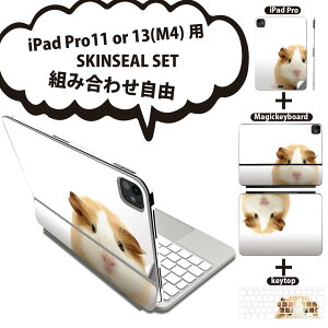 iPad Pro11(M4)p iPad Pro13(M4)p XLV[ 11C` 13C` Magic Keyboard keytop 2024N 5 Ή eZbg gݍ킹R S t O w یV[ lC ʐ^  nX^[ 0060