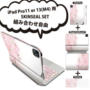 iPad Pro11(M4)p iPad Pro13(M4)p XLV[ 11C` 13C` Magic Keyboard keytop 2024N 5 Ή eZbg gݍ킹R S t O w یV[ lC  006499