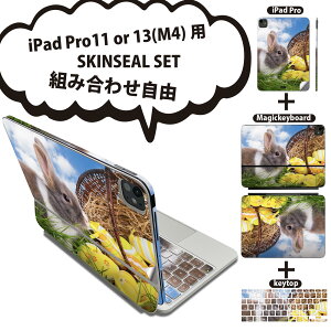 iPad Pro11(M4)p iPad Pro13(M4)p XLV[ 11C` 13C` Magic Keyboard keytop 2024N 5 Ή eZbg gݍ킹R S t O w یV[ lC ʐ^   006581