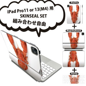 iPad Pro11(M4)p iPad Pro13(M4)p XLV[ 11C` 13C` Magic Keyboard keytop 2024N 5 Ή eZbg gݍ킹R S t O w یV[ lC UKj  006638