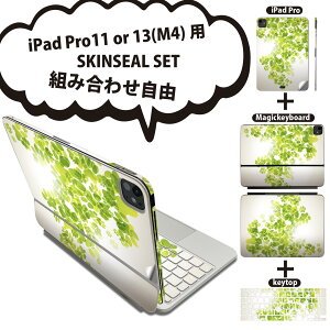 iPad Pro11(M4)�p iPad Pro13(M4)�p �X�L���V�[�� 11�C���` 13�C���` Magic Keyboard keytop 2024�N���� ��5���� �Ή� �e��Z�b�g �g�ݍ��킹���R �S�� �t�� �O�� �w�� �ی�V�[�� �l�C ���� ���� �� �O���[�� 008