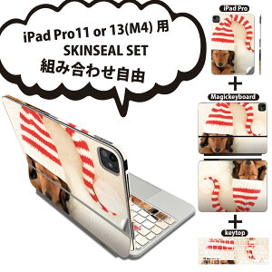 iPad Pro11(M4)p iPad Pro13(M4)p XLV[ 11C` 13C` Magic Keyboard keytop 2024N 5 Ή eZbg gݍ킹R S t O w یV[ lC ʐ^  Xq  bh 00