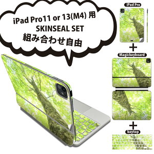 iPad Pro11(M4)�p iPad Pro13(M4)�p �X�L���V�[�� 11�C���` 13�C���` Magic Keyboard keytop 2024�N���� ��5���� �Ή� �e��Z�b�g �g�ݍ��킹���R �S�� �t�� �O�� �w�� �ی�V�[�� �l�C �A�� �� �ʐ^ 009755