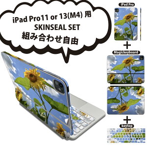 iPad Pro11(M4)p iPad Pro13(M4)p XLV[ 11C` 13C` Magic Keyboard keytop 2024N 5 Ή eZbg gݍ킹R S t O w یV[ lC  Ђ܂ ʐ^ 011366