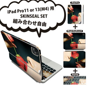 iPad Pro11(M4)p iPad Pro13(M4)p XLV[ 11C` 13C` Magic Keyboard keytop 2024N 5 Ή eZbg gݍ킹R S t O w یV[ lC   011897