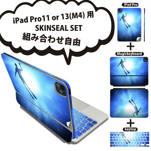 iPad Pro11(M4)p iPad Pro13(M4)p XLV[ 11C` 13C` Magic Keyboard keytop 2024N 5 Ή eZbg gݍ킹R S t O w یV[ lC C _CrO VGb