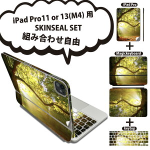 iPad Pro11(M4)p iPad Pro13(M4)p XLV[ 11C` 13C` Magic Keyboard keytop 2024N 5 Ή eZbg gݍ킹R S t O w یV[ lC iF R i ʐ^  