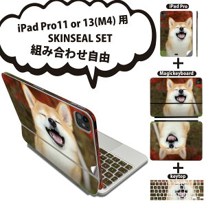 iPad Pro11(M4)p iPad Pro13(M4)p XLV[ 11C` 13C` Magic Keyboard keytop 2024N 5 Ή eZbg gݍ킹R S t O w یV[ lC  킢 Č 015611