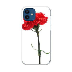 iPhone12 6.1C` p eLA iPhone 12 / iPhone12 Pro ʑΉ hRX}z Jo[ P[X X}zP[X X}zJo[ PC n[hP[X 012928 ̓@J[l[V@