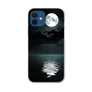 iPhone12 Pro Max 6.7C` pP[X n[hP[X ACtH12 pro max pJo[ igcase eLAΉ X}zJo[ Jo[ P[X pc n[hP[X 003304 N[ ʐ^Ei i@iF@C