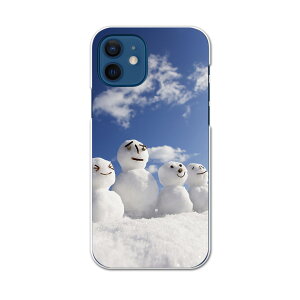 iPhone12 Pro Max 6.7�C���` ��p�P�[�X �n�[�h�P�[�X �A�C�t�H��12 pro max �p�J�o�[ igcase �e�L�����A�Ή� �X�}�z�J�o�[ �J�o�[ �P�[�X pc �n�[�h�P�[�X 004505 �ʐ^�E���i �X�m�[�}���@�~�@��@�ʐ^