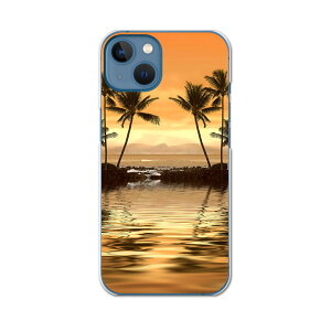 igcase iPhone13 Apple 6.1C` p eLA iPhone 13 ʑΉ n[hP[X X}zJo[ Jo[ P[X pc n[hP[X 004650 ʐ^Ei C@V̖