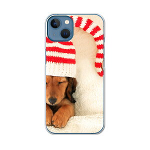 igcase iPhone13 Apple 6.1�C���` ��p �e�L�����A iPhone 13 ���ʑΉ� �n�[�h�P�[�X �X�}�z�J�o�[ �J�o�[ �P�[�X pc �n�[�h�P�[�X 008439 �A�j�}�� �ʐ^�@���@�X�q�@�ԁ@���b�h