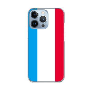 iPhone13 pro 6.1�C���` ��p �v�� �n�[�h�P�[�X iPhone13pro docomo �h�R�� igcase �e�L�����A�Ή� �X�}�z�J�o�[ �J�o�[ �P�[�X pc �n�[�h�P�[�X 002442 �`�F�b�N�E�{�[�_�[ �O���@����