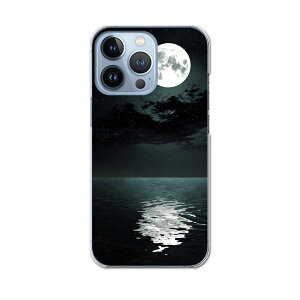 iPhone13 pro 6.1C` p v n[hP[X iPhone13pro docomo hR igcase eLAΉ X}zJo[ Jo[ P[X pc n[hP[X 003304 N[ ʐ^Ei i@iF@C