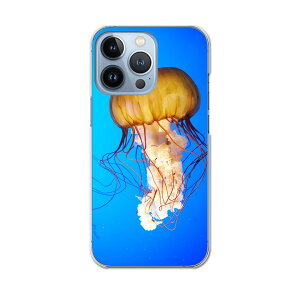 iPhone13 pro 6.1C` p v n[hP[X iPhone13pro docomo hR igcase eLAΉ X}zJo[ Jo[ P[X pc n[hP[X 003338 N[ ʐ^Ei 炰@C@ʐ^