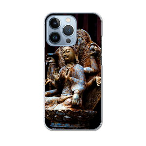 iPhone13 pro 6.1C` p v n[hP[X iPhone13pro docomo hR igcase eLAΉ X}zJo[ Jo[ P[X pc n[hP[X 005093 ʐ^Ei @ʐ^@