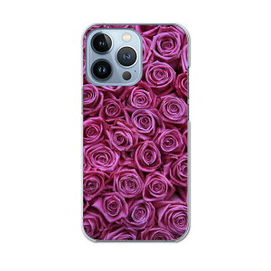 iPhone13 pro 6.1C` p v n[hP[X iPhone13pro docomo hR igcase eLAΉ X}zJo[ Jo[ P[X pc n[hP[X 005129 t[ KN@@ʐ^