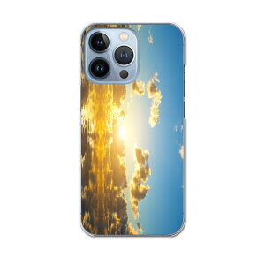 iPhone13 pro 6.1C` p v n[hP[X iPhone13pro docomo hR igcase eLAΉ X}zJo[ Jo[ P[X pc n[hP[X 006326 ʐ^Ei ʐ^@C@@[