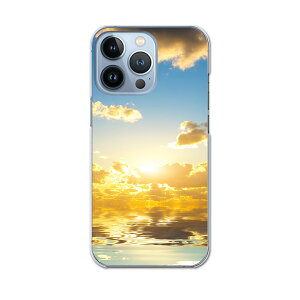 iPhone13 pro 6.1C` p v n[hP[X iPhone13pro docomo hR igcase eLAΉ X}zJo[ Jo[ P[X pc n[hP[X 006327 ʐ^Ei ʐ^@C@@[