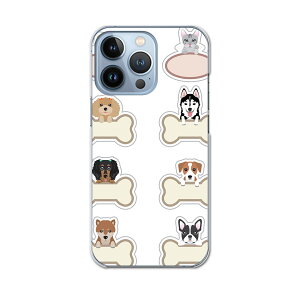 iPhone13 pro 6.1�C���` ��p �v�� �n�[�h�P�[�X iPhone13pro docomo �h�R�� igcase �e�L�����A�Ή� �X�}�z�J�o�[ �J�o�[ �P�[�X pc �n�[�h�P�[�X 009180 ���@�L�@�L�����N�^�[