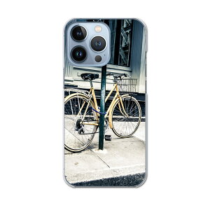 iPhone13 pro 6.1C` p v n[hP[X iPhone13pro docomo hR igcase eLAΉ X}zJo[ Jo[ P[X pc n[hP[X 010828 ]ԁ@ʐ^@F