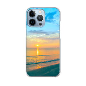 iPhone13 pro 6.1�C���` ��p �v�� �n�[�h�P�[�X iPhone13pro docomo �h�R�� igcase �e�L�����A�Ή� �X�}�z�J�o�[ �J�o�[ �P�[�X pc �n�[�h�P�[�X 011256 �C�@�r�[�`�@�[��