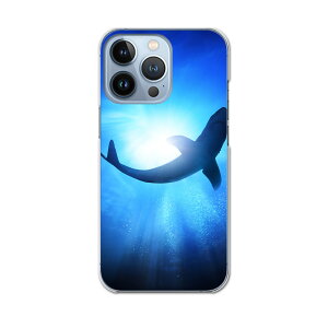 iPhone13 pro 6.1�C���` ��p �v�� �n�[�h�P�[�X iPhone13pro docomo �h�R�� igcase �e�L�����A�Ή� �X�}�z�J�o�[ �J�o�[ �P�[�X pc �n�[�h�P�[�X 012652 ���@������@�C
