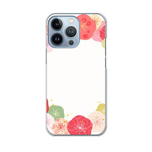 iPhone13 pro 6.1C` p v n[hP[X iPhone13pro docomo hR igcase eLAΉ X}zJo[ Jo[ P[X pc n[hP[X 015512 J[l[V@o@sN@ԁ@A