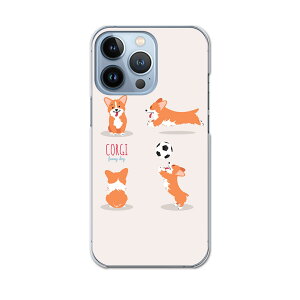iPhone13 pro 6.1C` p v n[hP[X iPhone13pro docomo hR igcase eLAΉ X}zJo[ Jo[ P[X pc n[hP[X 016256 @TbJ[