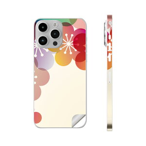 iPhone14 iPhone15 p XLV[ SʃXLV[ t w  XebJ[ یV[ iphone14plus iphone14pro iphone14promax iphone15plus iphone15pro iphone15promax eΉ a@~@͂ȁ@ԁ@000214