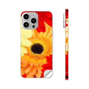 iPhone14 iPhone15 p XLV[ SʃXLV[ t w  XebJ[ یV[ iphone14plus iphone14pro iphone14promax iphone15plus iphone15pro iphone15promax eΉ ԁ@K[x@000990