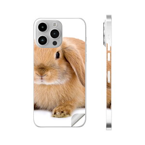 iPhone14 iPhone15 p XLV[ SʃXLV[ t w  XebJ[ یV[ iphone14plus iphone14pro iphone14promax iphone15plus iphone15pro iphone15promax eΉ @@001112