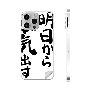 iPhone14 iPhone15 p XLV[ SʃXLV[ t w  XebJ[ یV[ iphone14plus iphone14pro iphone14promax iphone15plus iphone15pro iphone15promax eΉ @@002332