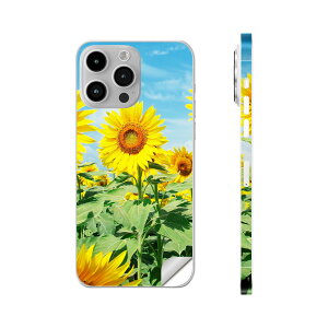 iPhone14 iPhone15 p XLV[ SʃXLV[ t w  XebJ[ یV[ iphone14plus iphone14pro iphone14promax iphone15plus iphone15pro iphone15promax eΉ ԁ@Ђ܂@ʐ^@002501