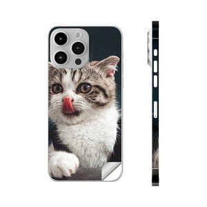 iPhone14 iPhone15 p XLV[ SʃXLV[ t w  XebJ[ یV[ iphone14plus iphone14pro iphone14promax iphone15plus iphone15pro iphone15promax eΉ L@˂@@ʐ^@023096