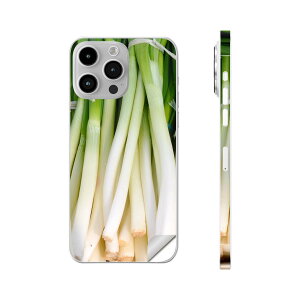 iPhone14 iPhone15 p XLV[ SʃXLV[ t w  XebJ[ یV[ iphone14plus iphone14pro iphone14promax iphone15plus iphone15pro iphone15promax eΉ ؁@lM@ʐ^@025602