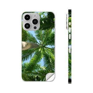 iPhone14 iPhone15 �p �X�L���V�[�� �S�ʃX�L���V�[�� �t�� �w�� ���� �X�e�b�J�[ �ی�V�[�� iphone14plus iphone14pro iphone14promax iphone15plus iphone15pro iphone15promax �e��Ή� ���R�@�t���ρ@�؁@�ā@025621