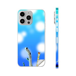 iPhone14 iPhone15 �p �X�L���V�[�� �S�ʃX�L���V�[�� �t�� �w�� ���� �X�e�b�J�[ �ی�V�[�� iphone14plus iphone14pro iphone14promax iphone15plus iphone15pro iphone15promax �e��Ή� �`���A�i�S�@�C�@�������@025640