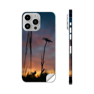 iPhone14 iPhone15 �p �X�L���V�[�� �S�ʃX�L���V�[�� �t�� �w�� ���� �X�e�b�J�[ �ی�V�[�� iphone14plus iphone14pro iphone14promax iphone15plus iphone15pro iphone15promax �e��Ή� ���i�@���R�@�ԁ@025684