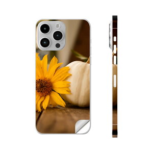 iPhone14 iPhone15 p XLV[ SʃXLV[ t w  XebJ[ یV[ iphone14plus iphone14pro iphone14promax iphone15plus iphone15pro iphone15promax eΉ ڂ@H@ԁ@@025807