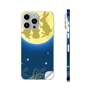 iPhone14 iPhone15 p XLV[ SʃXLV[ t w  XebJ[ یV[ iphone14plus iphone14pro iphone14promax iphone15plus iphone15pro iphone15promax eΉ @@CXg@004529