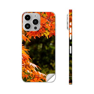 iPhone14 iPhone15 p XLV[ SʃXLV[ t w  XebJ[ یV[ iphone14plus iphone14pro iphone14promax iphone15plus iphone15pro iphone15promax eΉ gt@H@i@004615