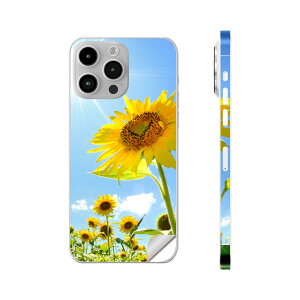 iPhone14 iPhone15 p XLV[ SʃXLV[ t w  XebJ[ یV[ iphone14plus iphone14pro iphone14promax iphone15plus iphone15pro iphone15promax eΉ Ђ܂@ʐ^@z@005089