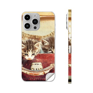 iPhone14 iPhone15 p XLV[ SʃXLV[ t w  XebJ[ یV[ iphone14plus iphone14pro iphone14promax iphone15plus iphone15pro iphone15promax eΉ ʐ^@L@lR@Jo@@00